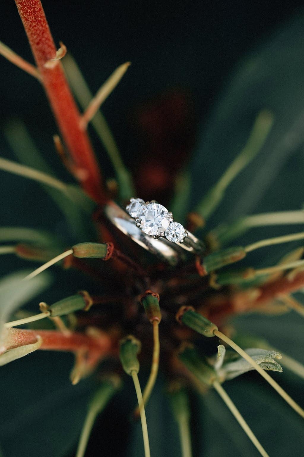 Ultra Romantic Oregon Wine Country Wedding | Taylor'd Events Group | Bethany Small Photography 